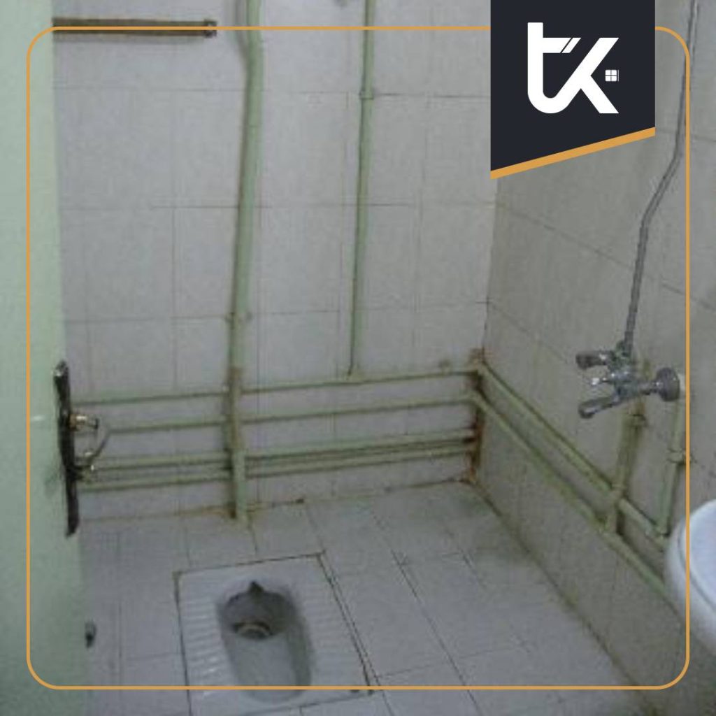 انتخاب بهترین مدل و طرح سرویس بهداشتی ایرانی
